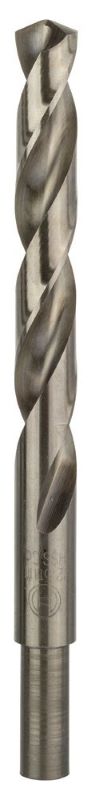 Bosch Metal Matkap Ucu HSS-Co DIN 338 (Altın) 12,5x151 mm (1 Adet) 